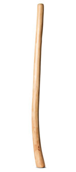 Medium Size Natural Finish Didgeridoo (TW1654)